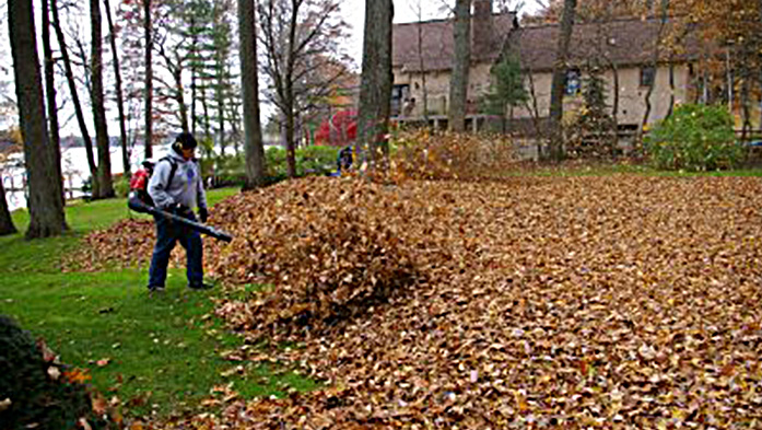 Fall leaf cleanup service